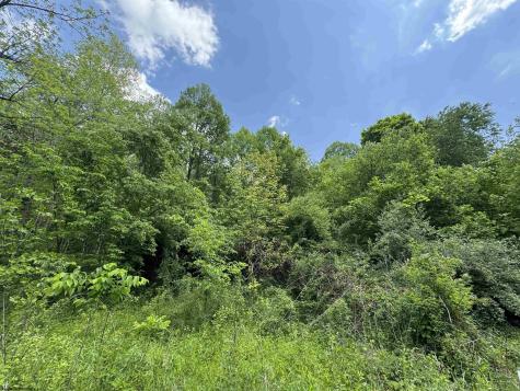 TBD Rock Camp Road Wallace WV 26448