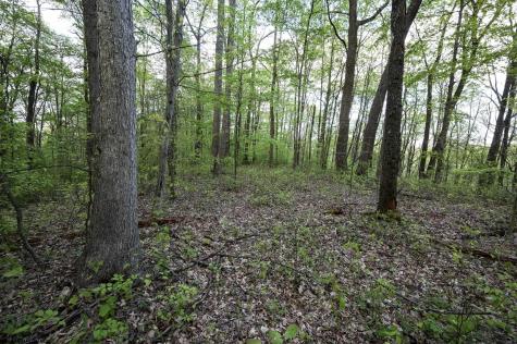 Lot 1 Cales Road Masontown WV 26542