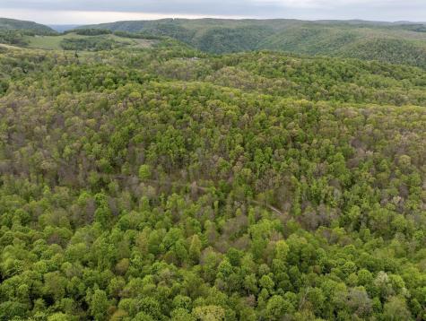1 Cales Road Masontown WV 26542