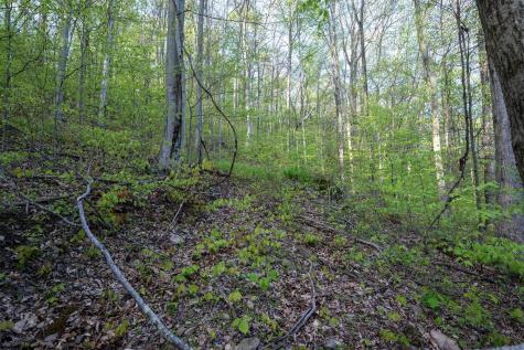 1 Cales Road Masontown WV 26542