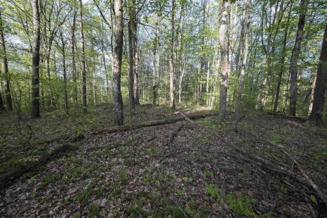1 Cales Road Masontown WV 26542