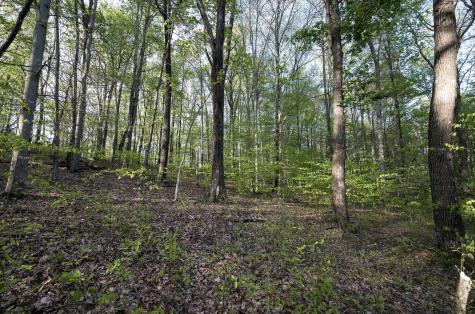 1 Cales Road Masontown WV 26542