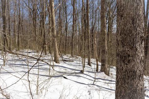 1 Cales Road Masontown WV 26542