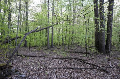 Lot 1 Cales Road Masontown WV 26542