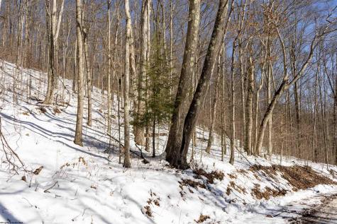 1 Cales Road Masontown WV 26542