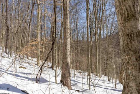1 Cales Road Masontown WV 26542