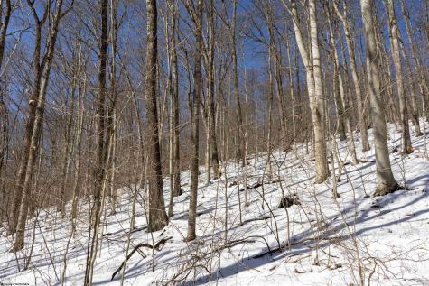1 Cales Road Masontown WV 26542