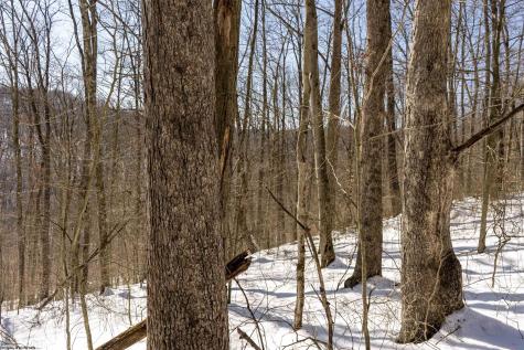 1 Cales Road Masontown WV 26542