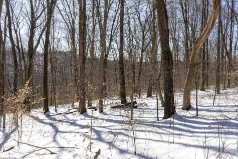 1 Cales Road Masontown WV 26542