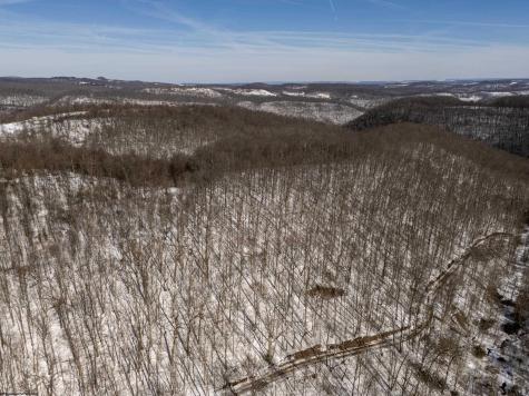 1 Cales Road Masontown WV 26542