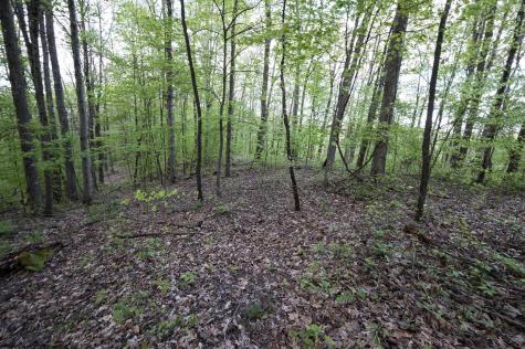 1 Cales Road Masontown WV 26542