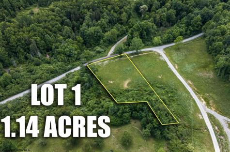 1 Lake Island Drive Belington WV 26250