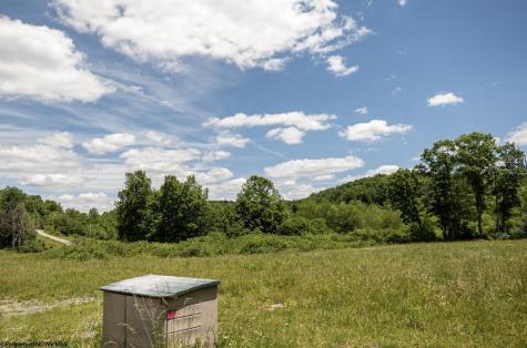 1 Lake Island Drive Belington WV 26250