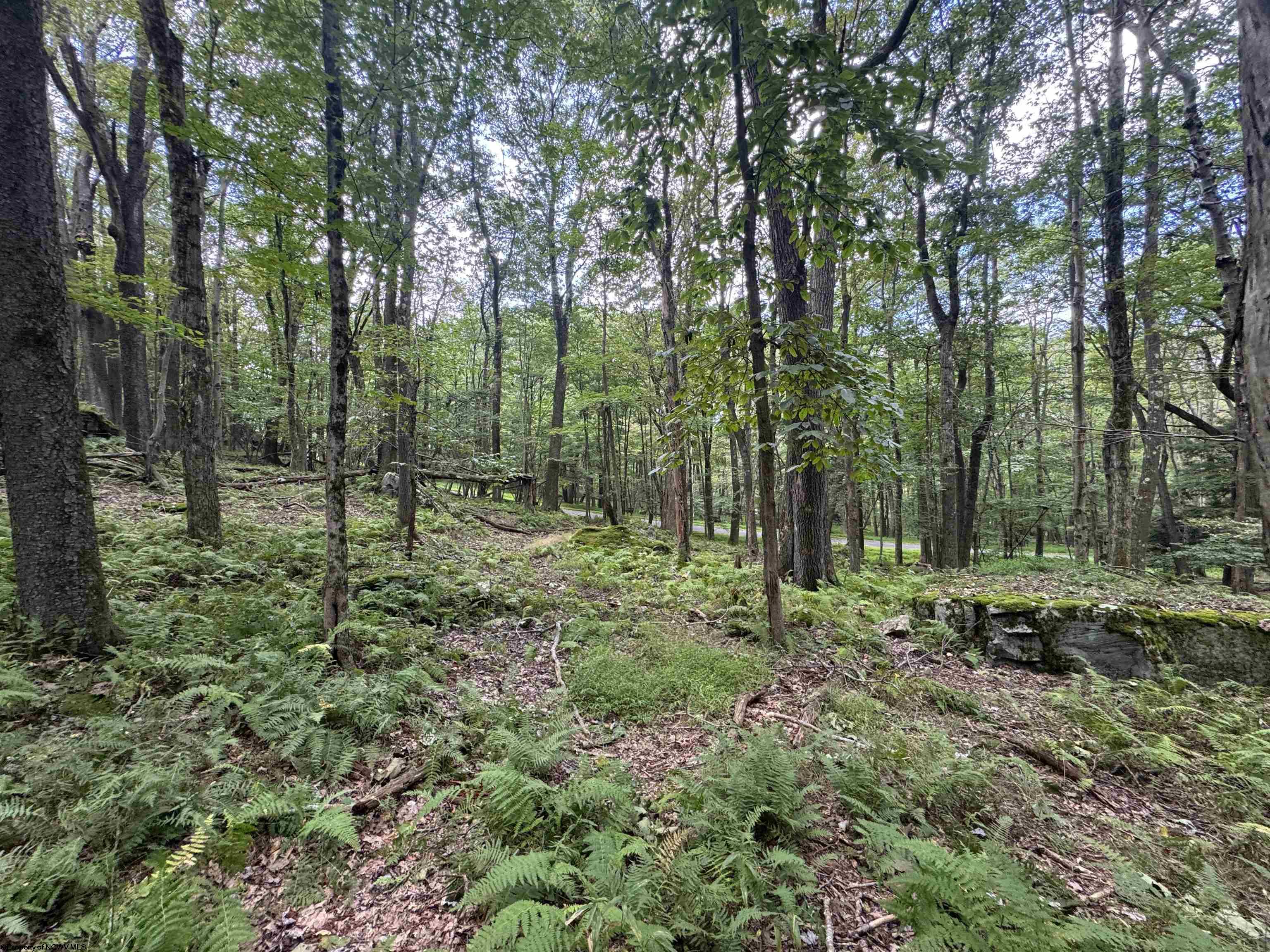 65 Gentian Court Terra Alta WV 26764