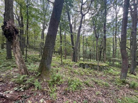 65 Gentian Court Terra Alta WV 26764