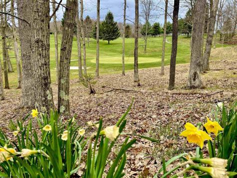 65 Gentian Court Terra Alta WV 26764