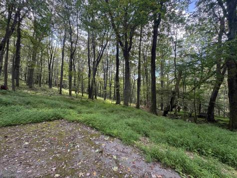 65 Gentian Court Terra Alta WV 26764