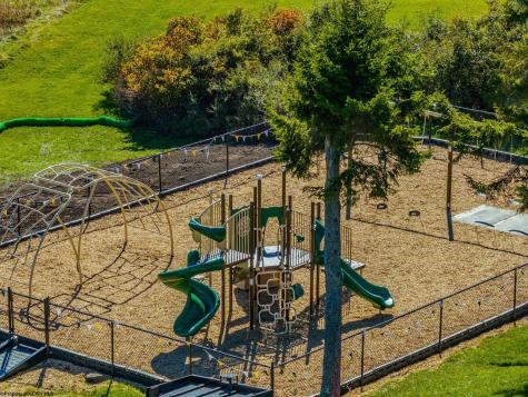 65 Gentian Court Terra Alta WV 26764