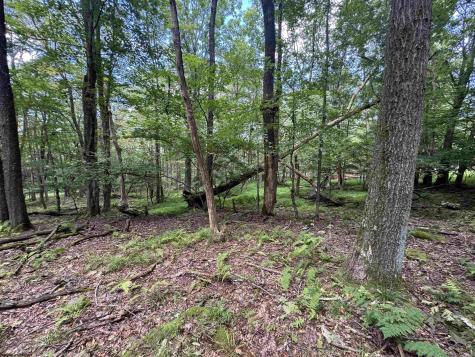 65 Gentian Court Terra Alta WV 26764