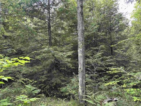 92 Gondola Court Davis WV 26260