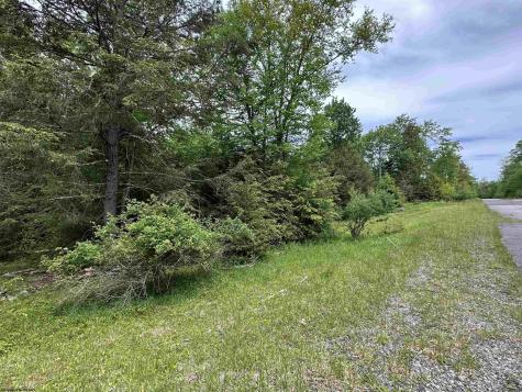 92 Gondola Court Davis WV 26260