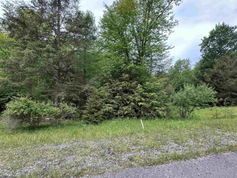 92 Gondola Court Davis WV 26260