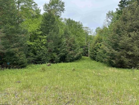 92 Gondola Court Davis WV 26260