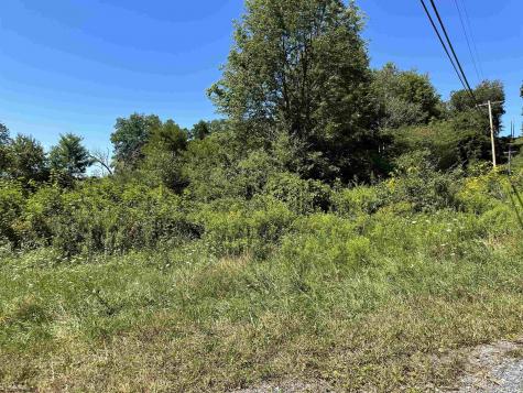 10 Alpenglow Ridge Drive Dryfork WV 26260