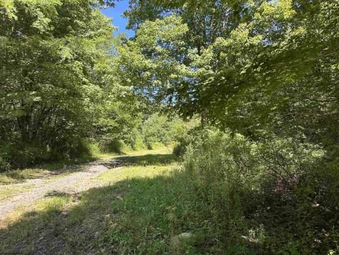 10 Alpenglow Ridge Drive Dryfork WV 26260