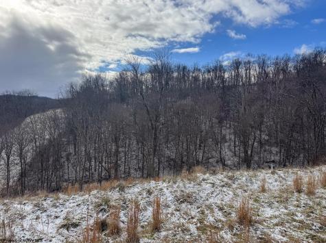 1 Miracle Run Road Fairview WV 26570