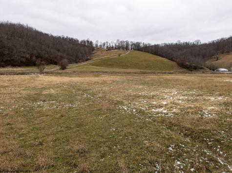 1 Miracle Run Road Fairview WV 26570