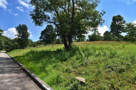 42 Carlson Drive Grafton WV 26354