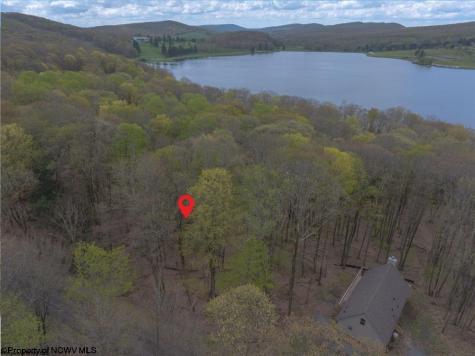 153 Clover Drive Terra Alta WV 26764