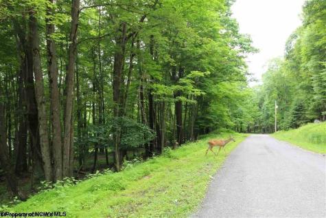153 Clover Drive Terra Alta WV 26764