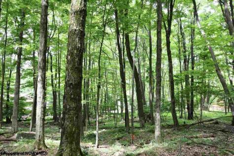 153 Clover Drive Terra Alta WV 26764