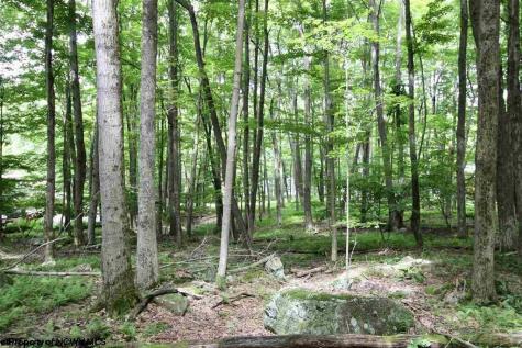 153 Clover Drive Terra Alta WV 26764