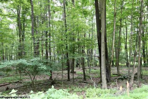 153 Clover Drive Terra Alta WV 26764