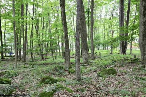 153 Clover Drive Terra Alta WV 26764