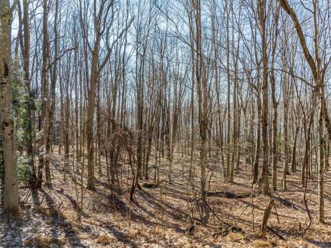 153 Clover Drive Terra Alta WV 26764
