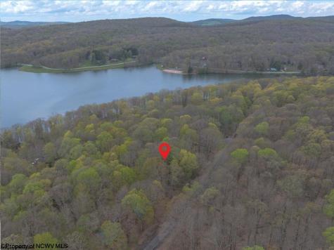 153 Clover Drive Terra Alta WV 26764