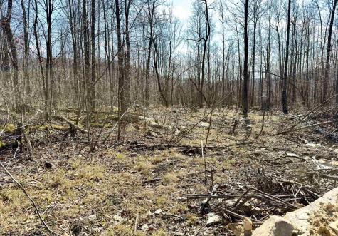 Lot 7 Brooklyn Way Moatsville WV 26405