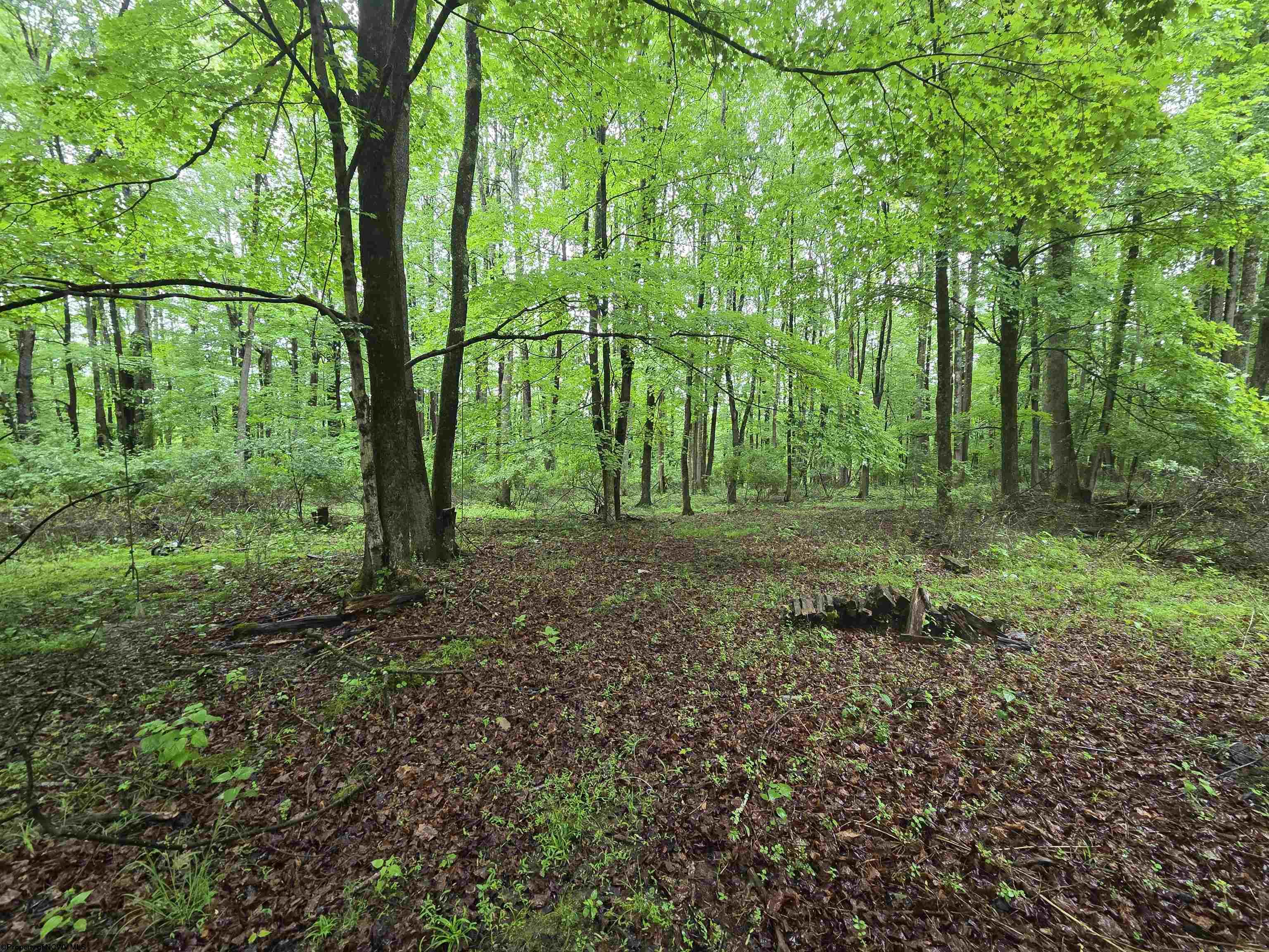 0 Battle Street Parsons WV 26287