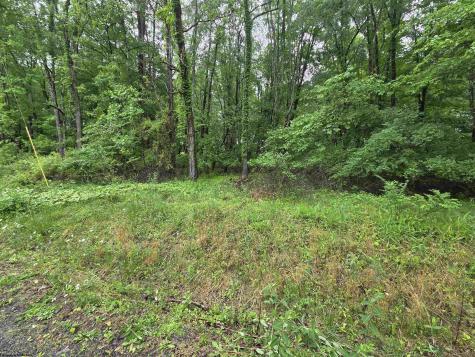 0 Battle Street Parsons WV 26287