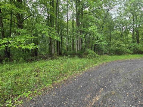 0 Battle Street Parsons WV 26287