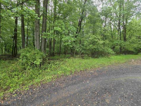 0 Battle Street Parsons WV 26287