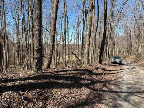 0 Mount Hebron Road Volga WV 26238