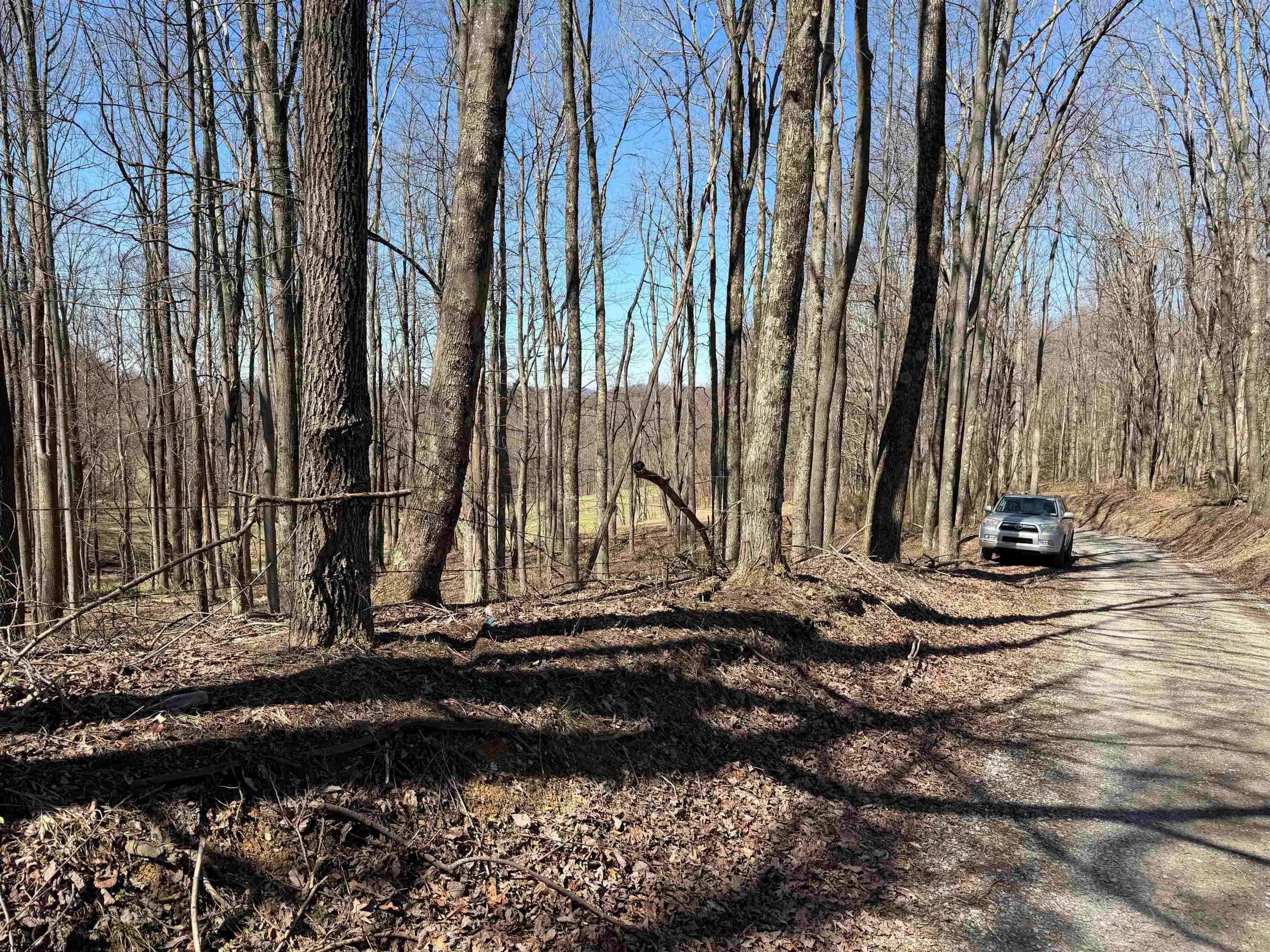 0 Mount Hebron Road Volga WV 26238