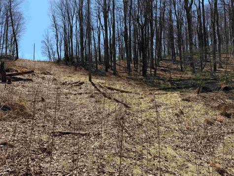 0 Mount Hebron Road Volga WV 26238