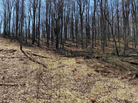 0 Mount Hebron Road Volga WV 26238