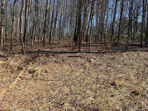 0 Mount Hebron Road Volga WV 26238